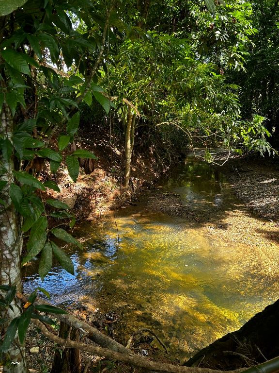 Fincas en Venta Yamasa, Monte Plata