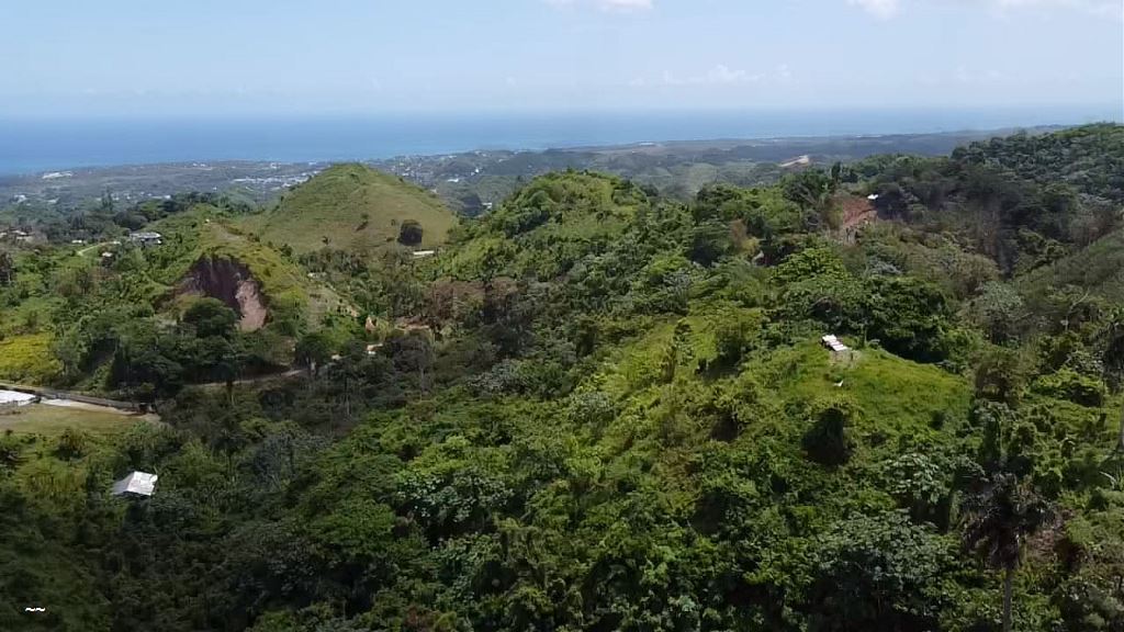 Terrenos en Venta Las Terrenas, Samaná