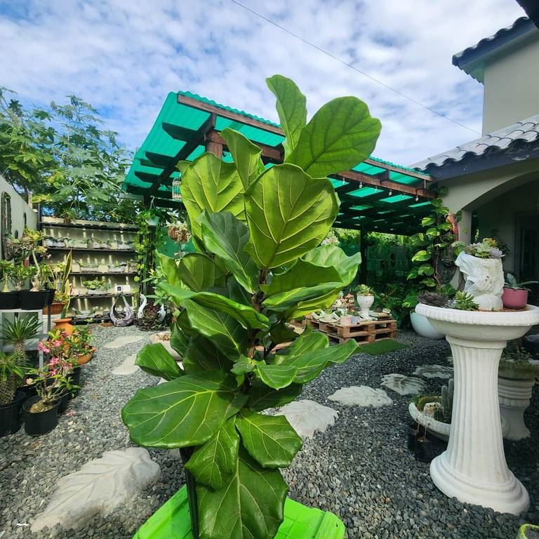 Casas en Venta Punta Cana, Punta Cana