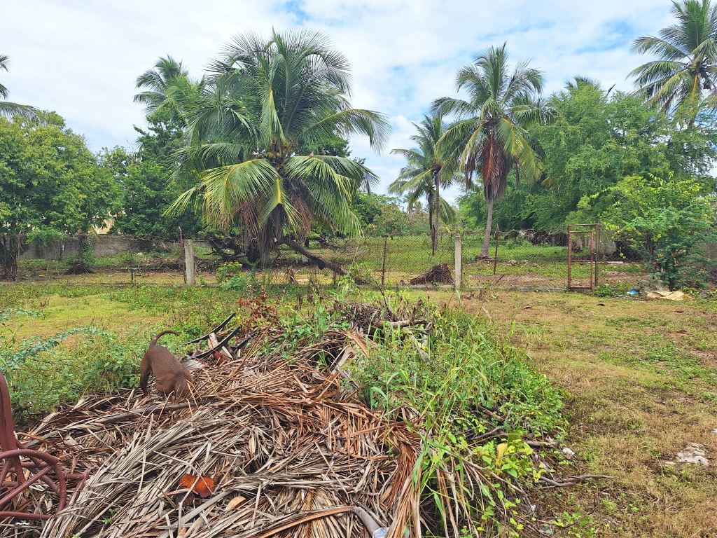 Solares en Venta La Caleta, Santo Domingo Este