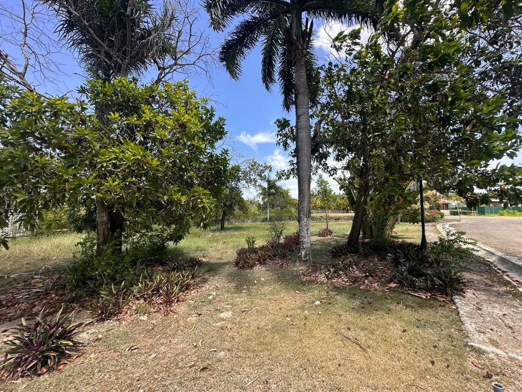 Solares en Venta Puerto Plata, Puerto Plata